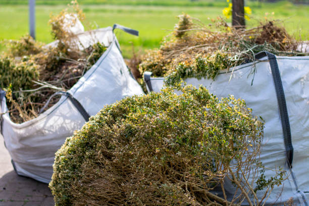 Best Residential Junk Removal  in Temelec, CA